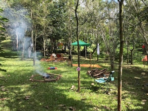 Numundo Sacred Medicine Ayahuasca Retreat